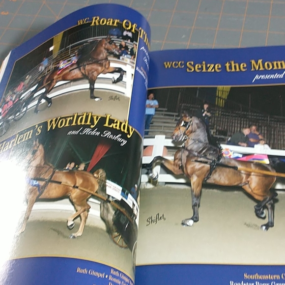 Saddle & Bridle magazine - Picture 9 of 9